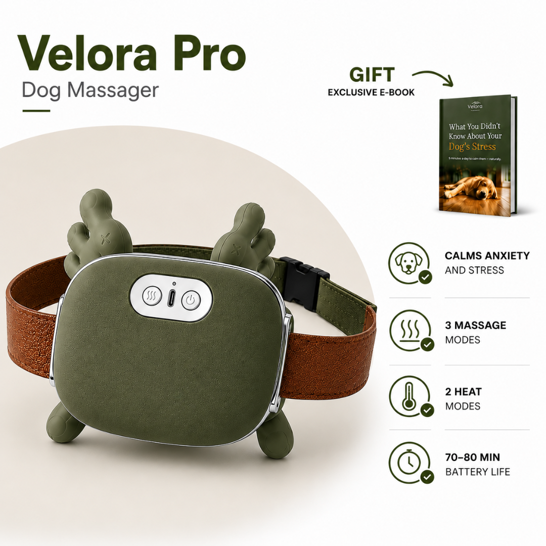 Velora massager 1