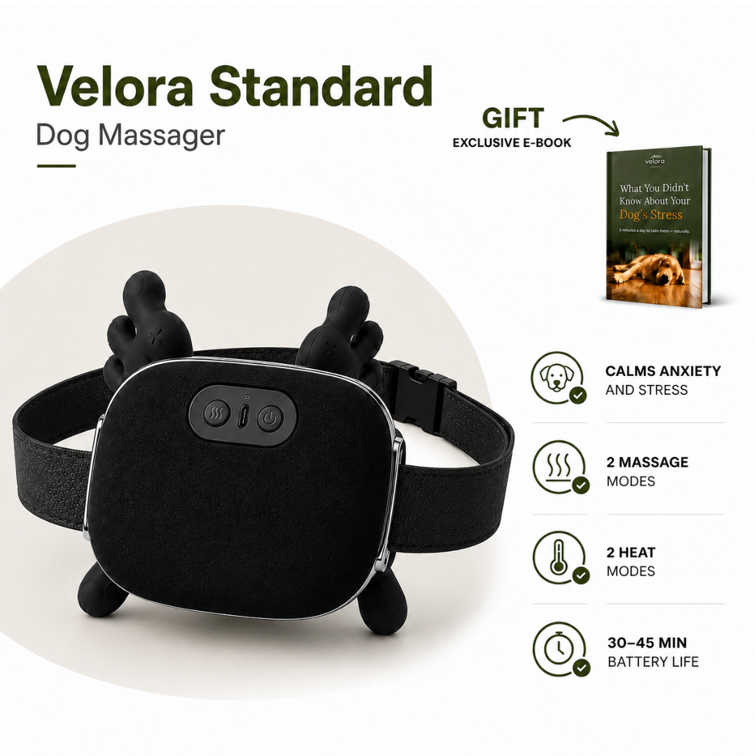 Velora massager 4